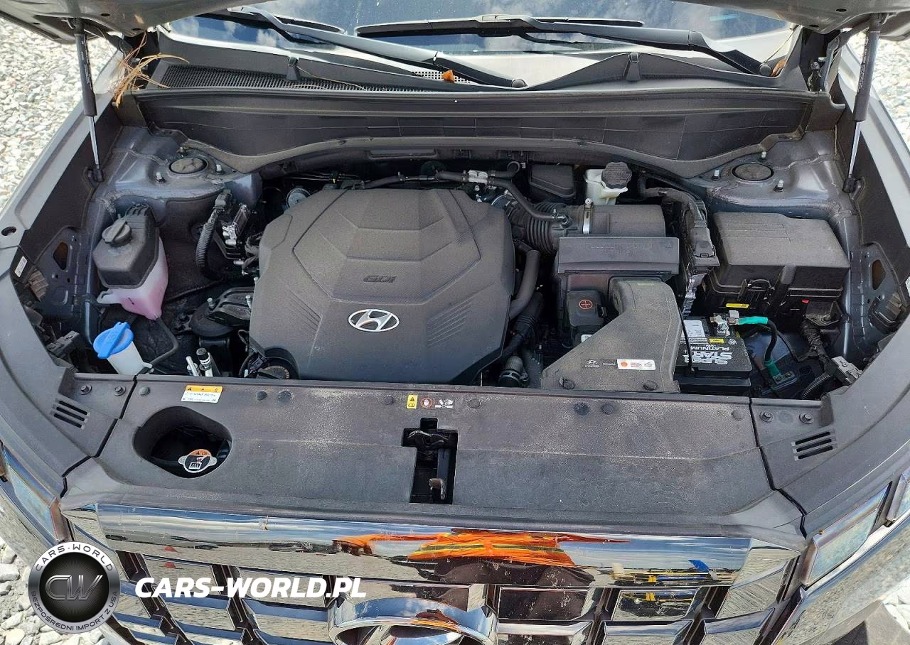 2023 Hyundai Palisade Sel Premium VIN:KM8R44GE6PU589591 - 12
