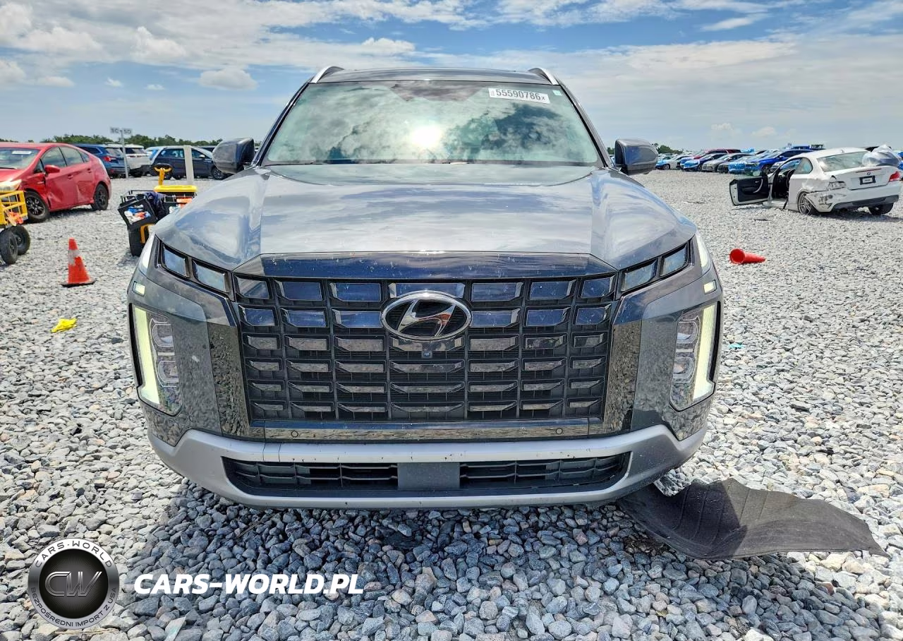 2023 Hyundai Palisade Sel Premium VIN:KM8R44GE6PU589591 - 5