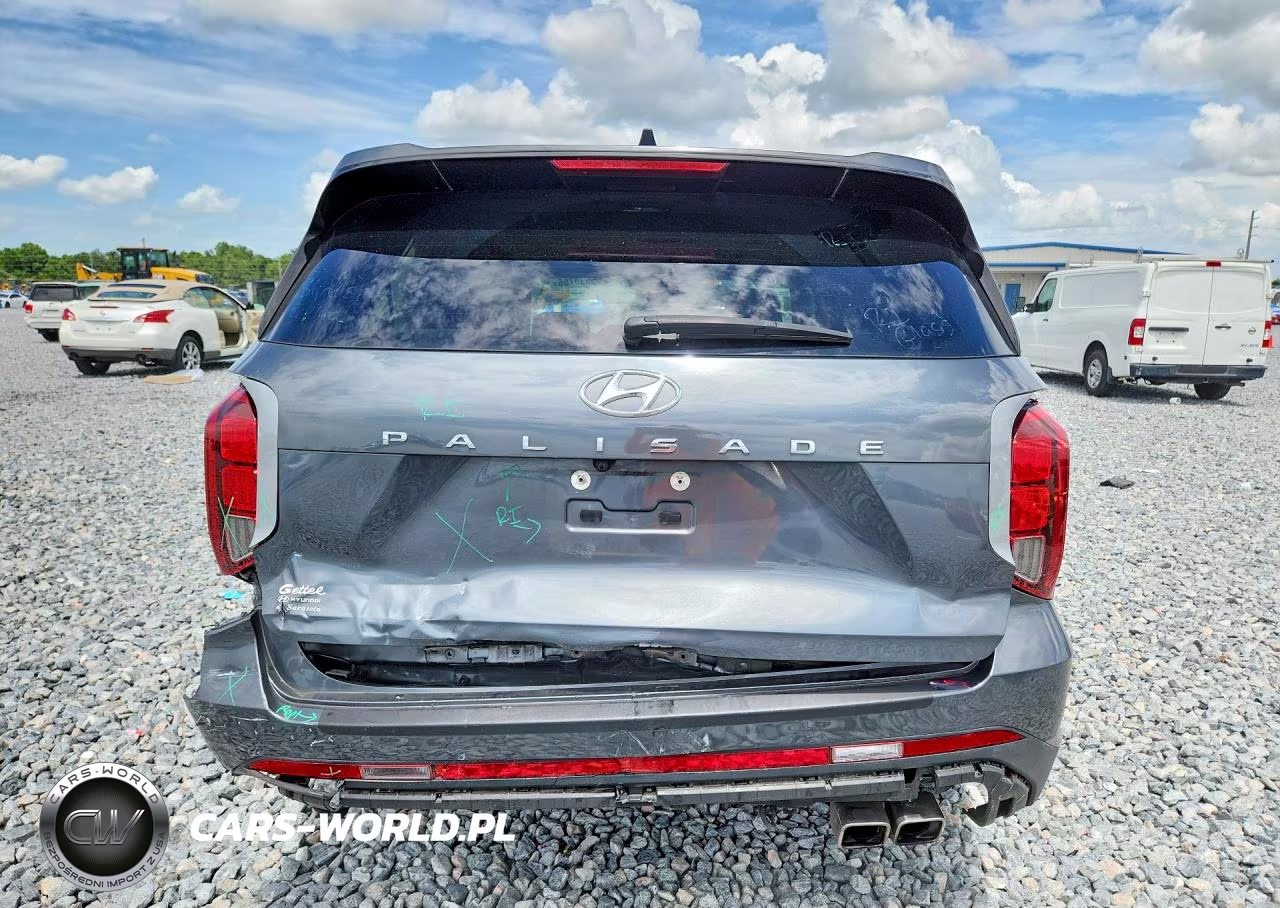 2023 Hyundai Palisade Sel Premium VIN:KM8R44GE6PU589591 - 6