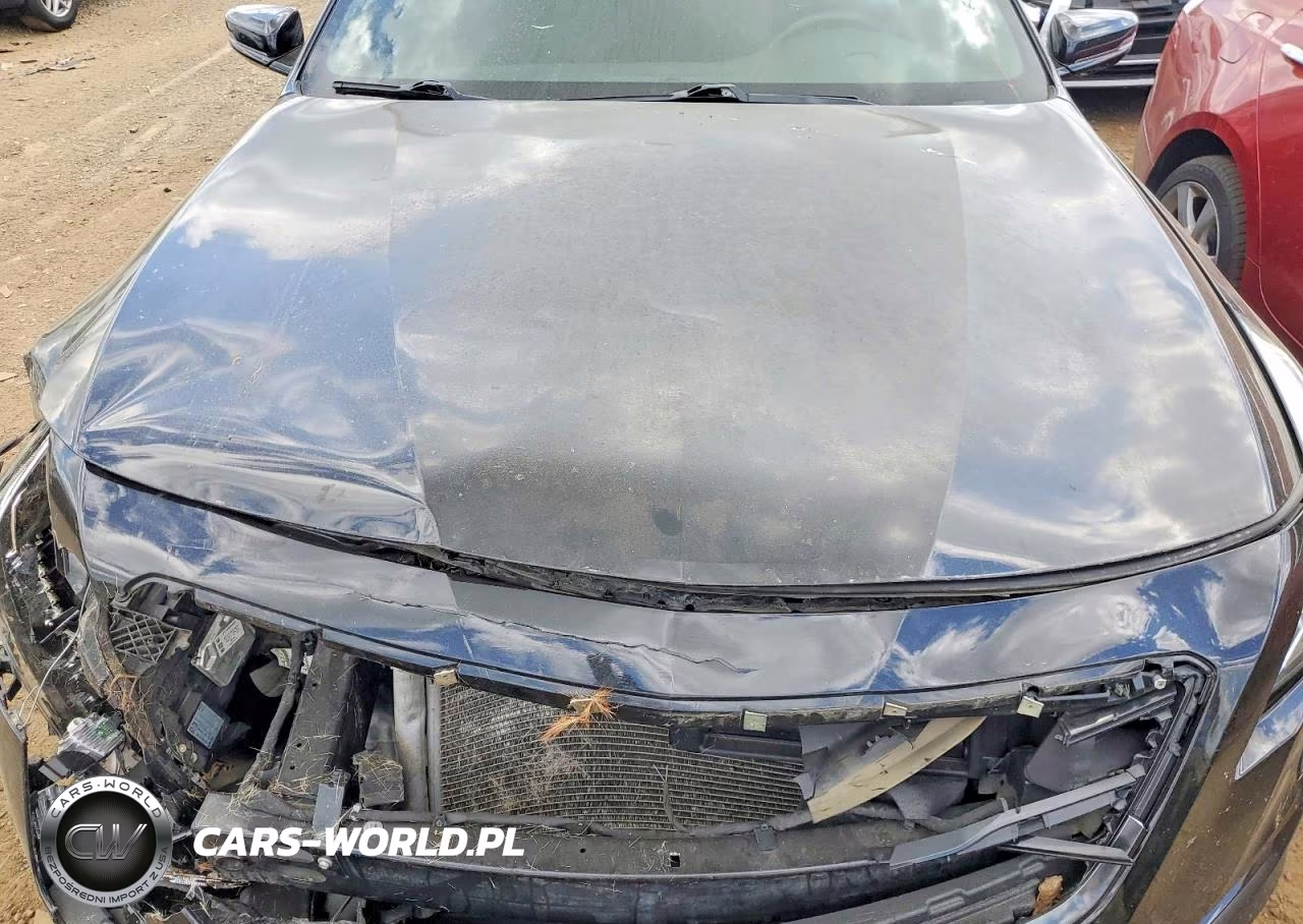 2017 Cadillac Ct6 VIN:1G6KB5RS5HU205521 - 11