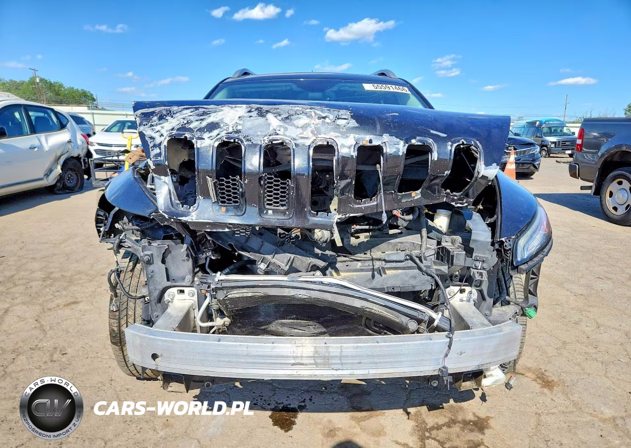 2014 Jeep Cherokee Limited VIN:1C4PJLDB5EW144351 - 5