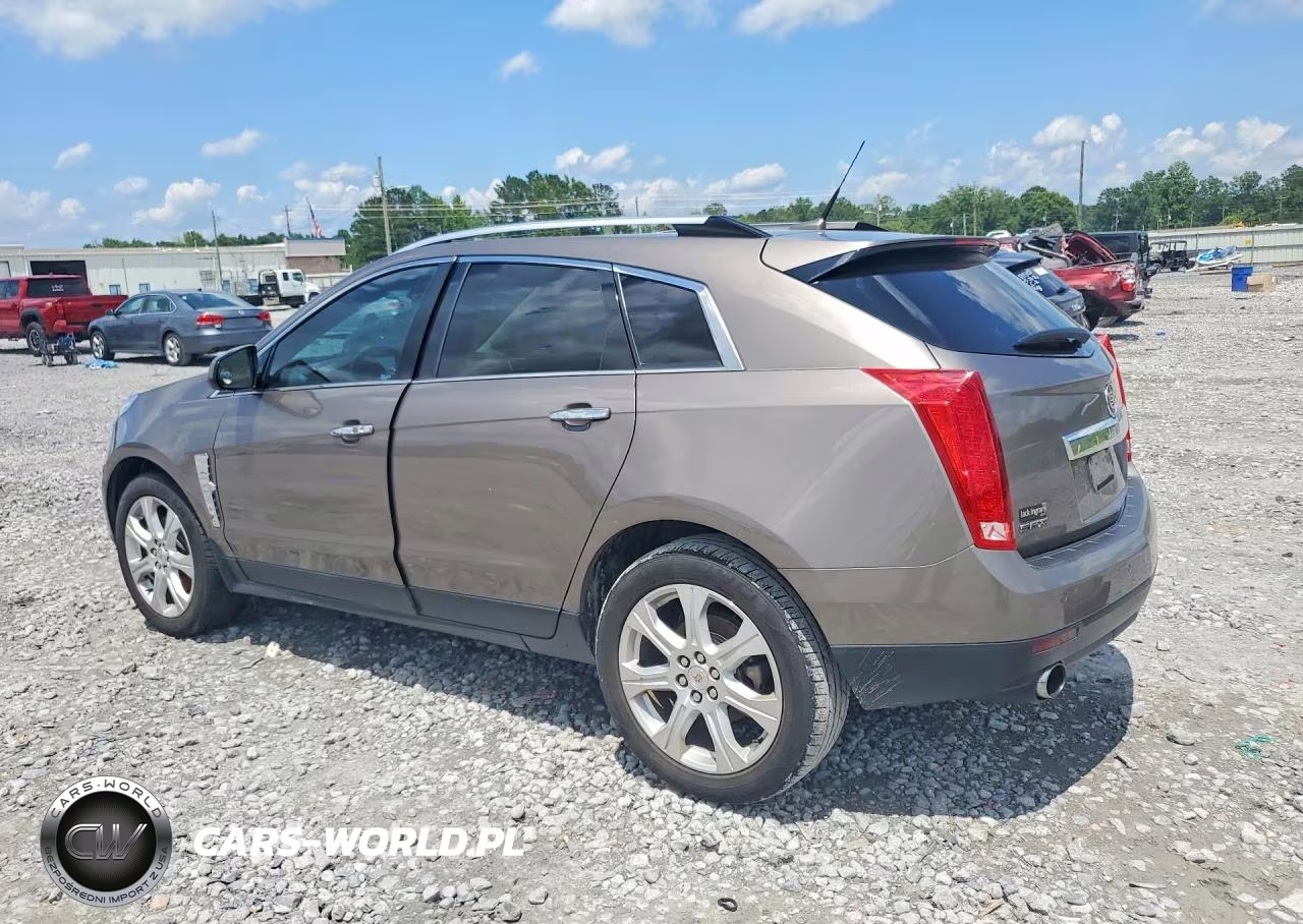2011 Cadillac Srx Premium Collection VIN:3GYFNCEY7BS631622 - 2