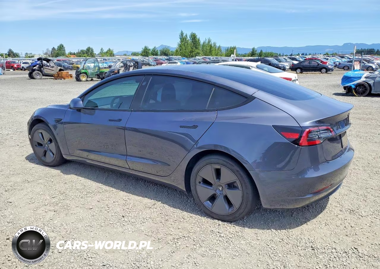 2023 Tesla Model 3 VIN:5YJ3E1EAXPF453253 - 2