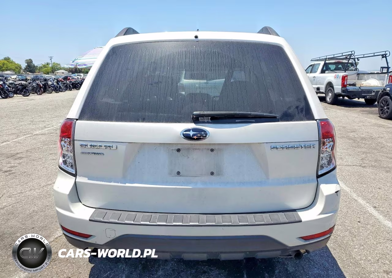 2010 Subaru Forester 2.5X Premium VIN:JF2SH6CC6AH799491 - 6