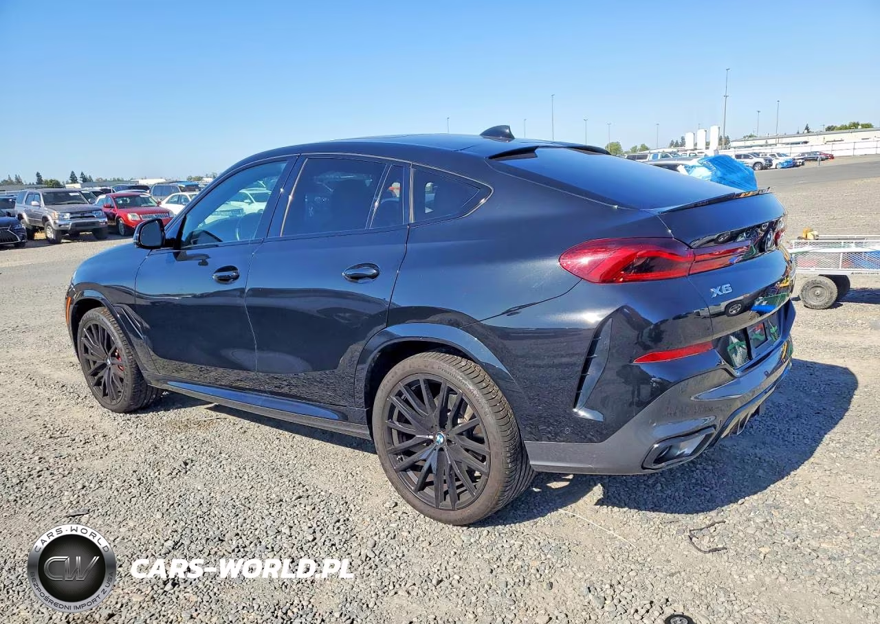 2023 BMW X6 xDrive40I VIN:5UXCY6C09P9N63590 - 2