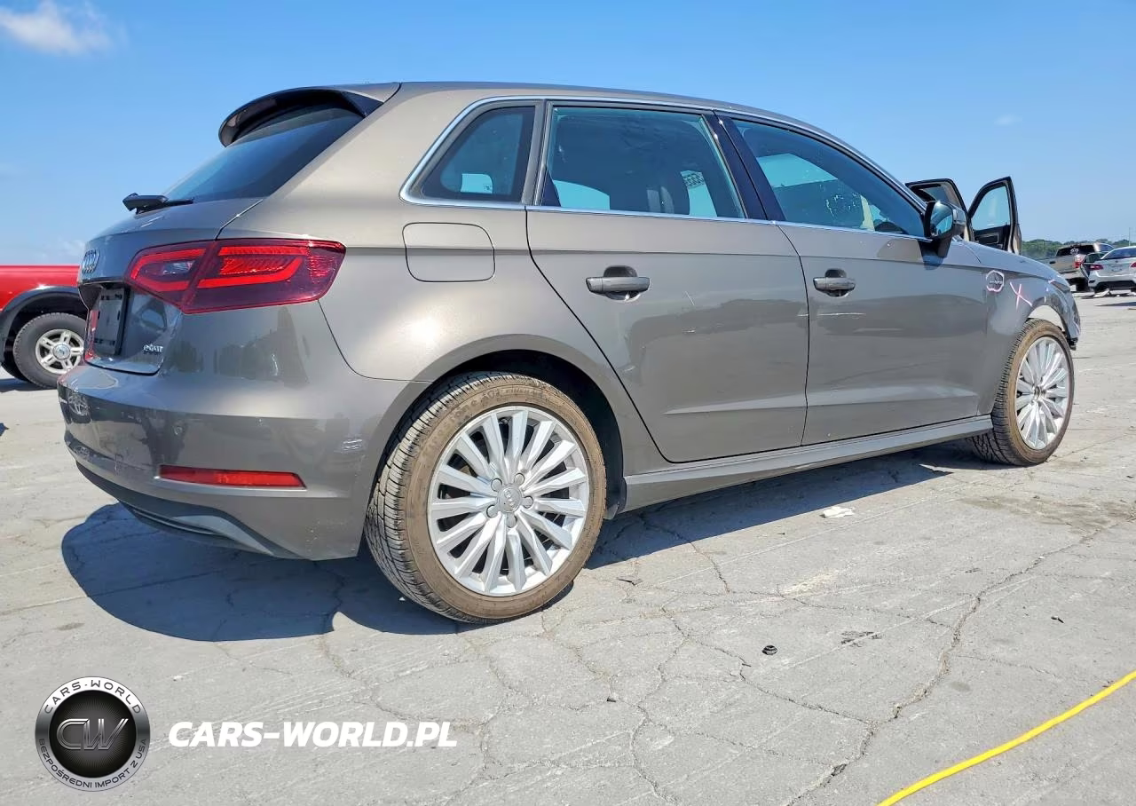 2016 Audi A3 E-Tron Premium Plus VIN:WAUTPBFF5GA092451 - 3