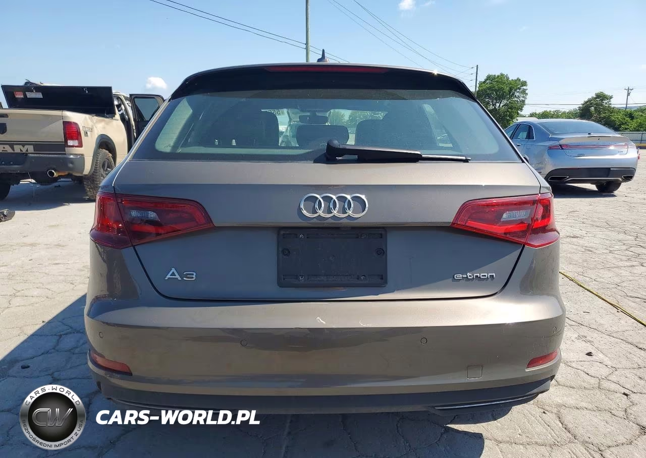 2016 Audi A3 E-Tron Premium Plus VIN:WAUTPBFF5GA092451 - 6