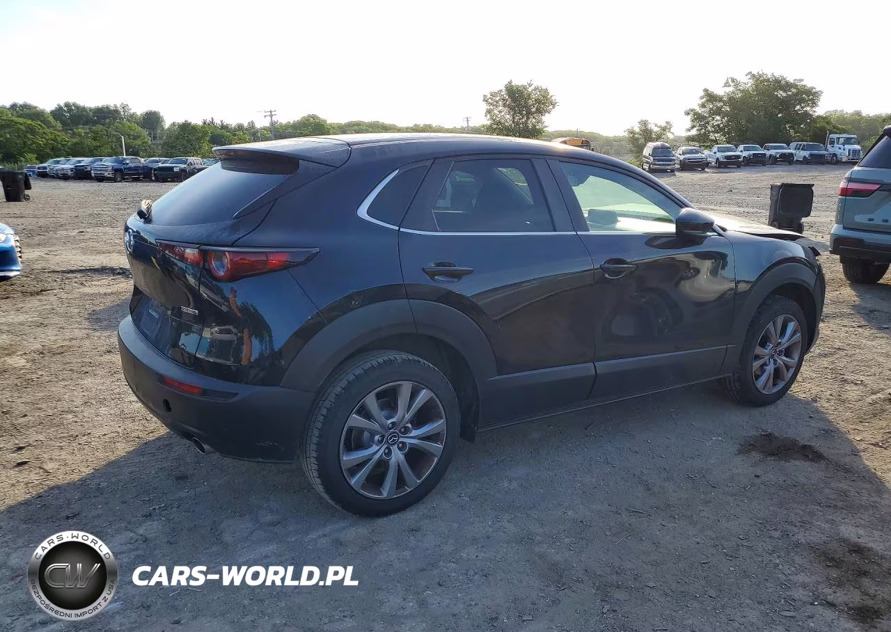 2021 Mazda Cx-30 VIN:3MVDMBBL8MM242237 - 3