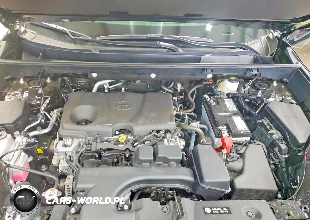 2025 Toyota Rav4 Xle VIN:2T3P1RFVXSW635079 - 12