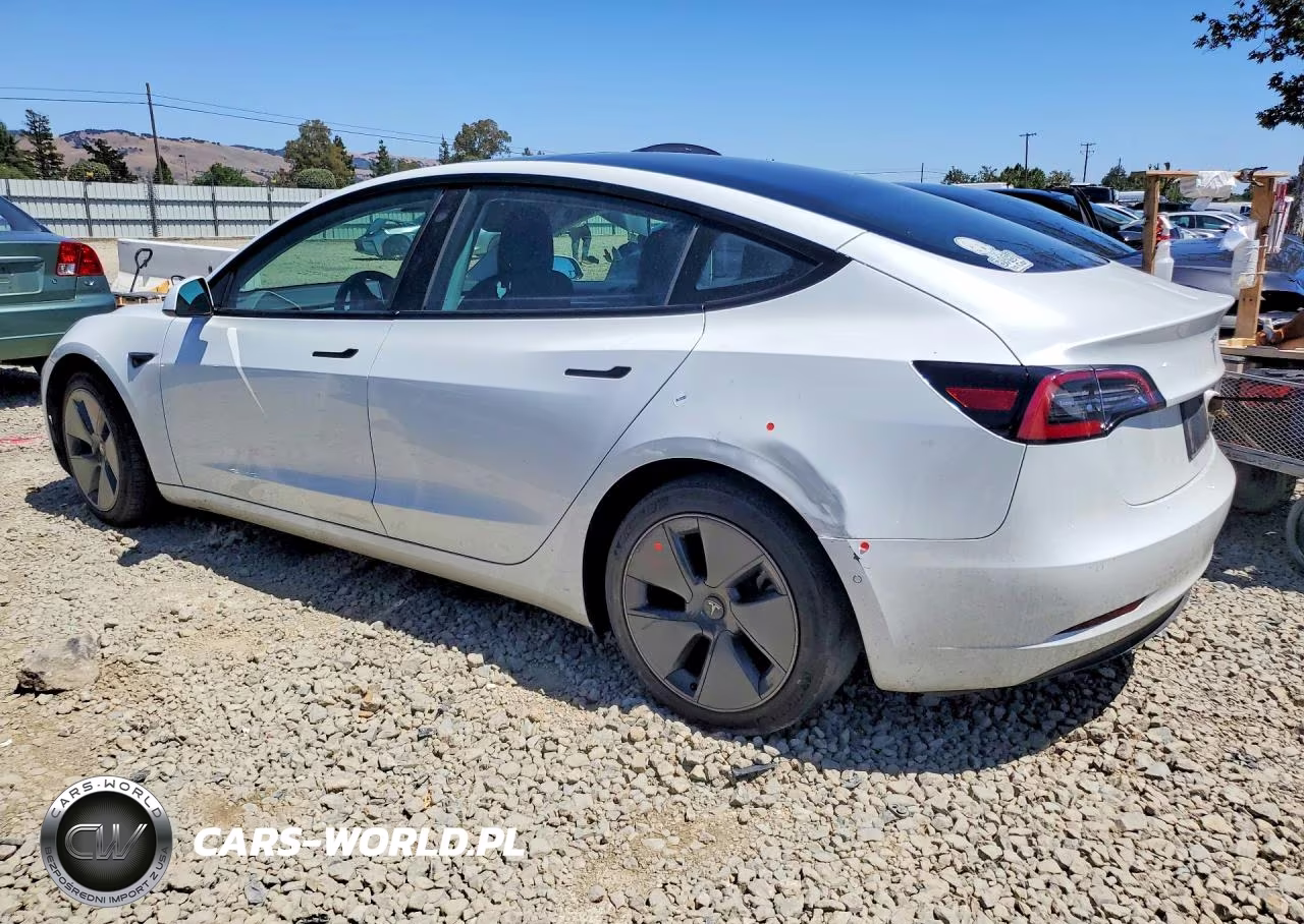 2021 Tesla Model 3 VIN:5YJ3E1EA3MF095733 - 2