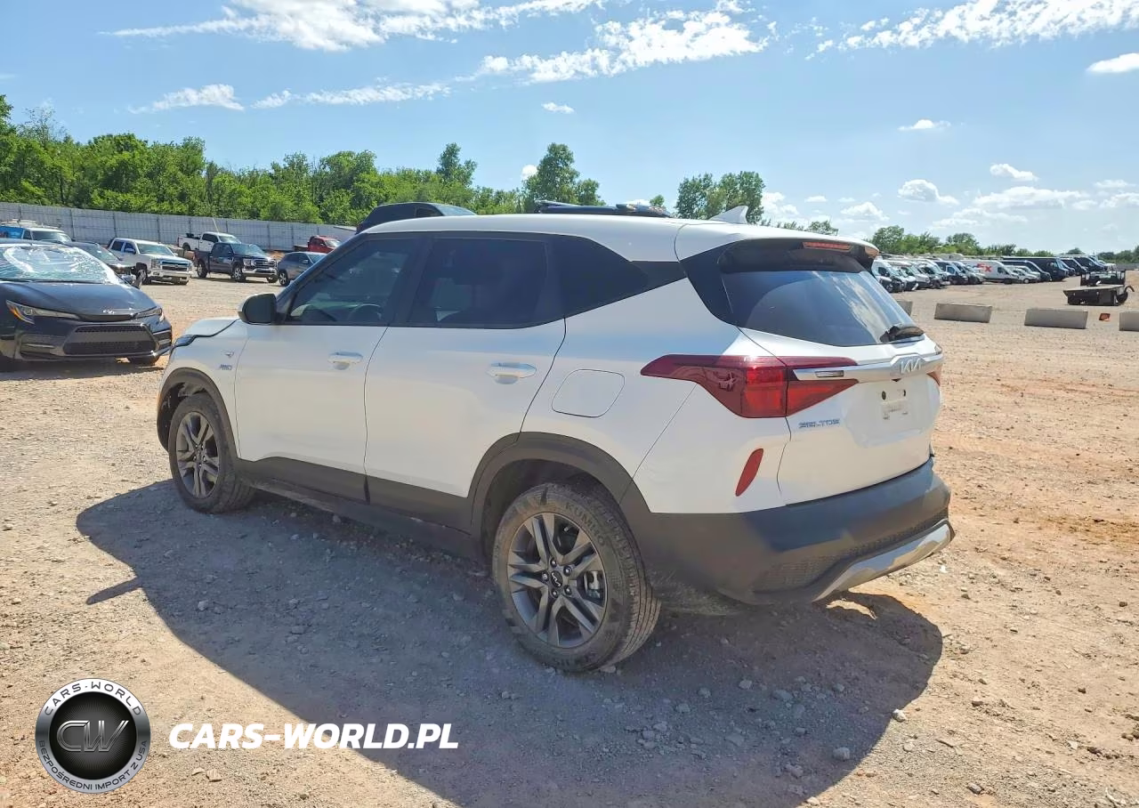 2022 Kia Seltos Lx VIN:KNDEPCAA8N7329196 - 2