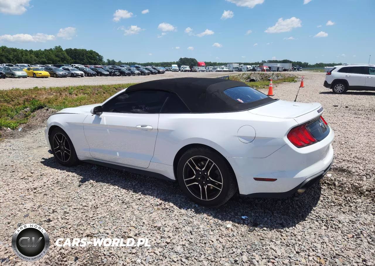 2020 Ford Mustang VIN:1FATP8UH2L5132083 - 2