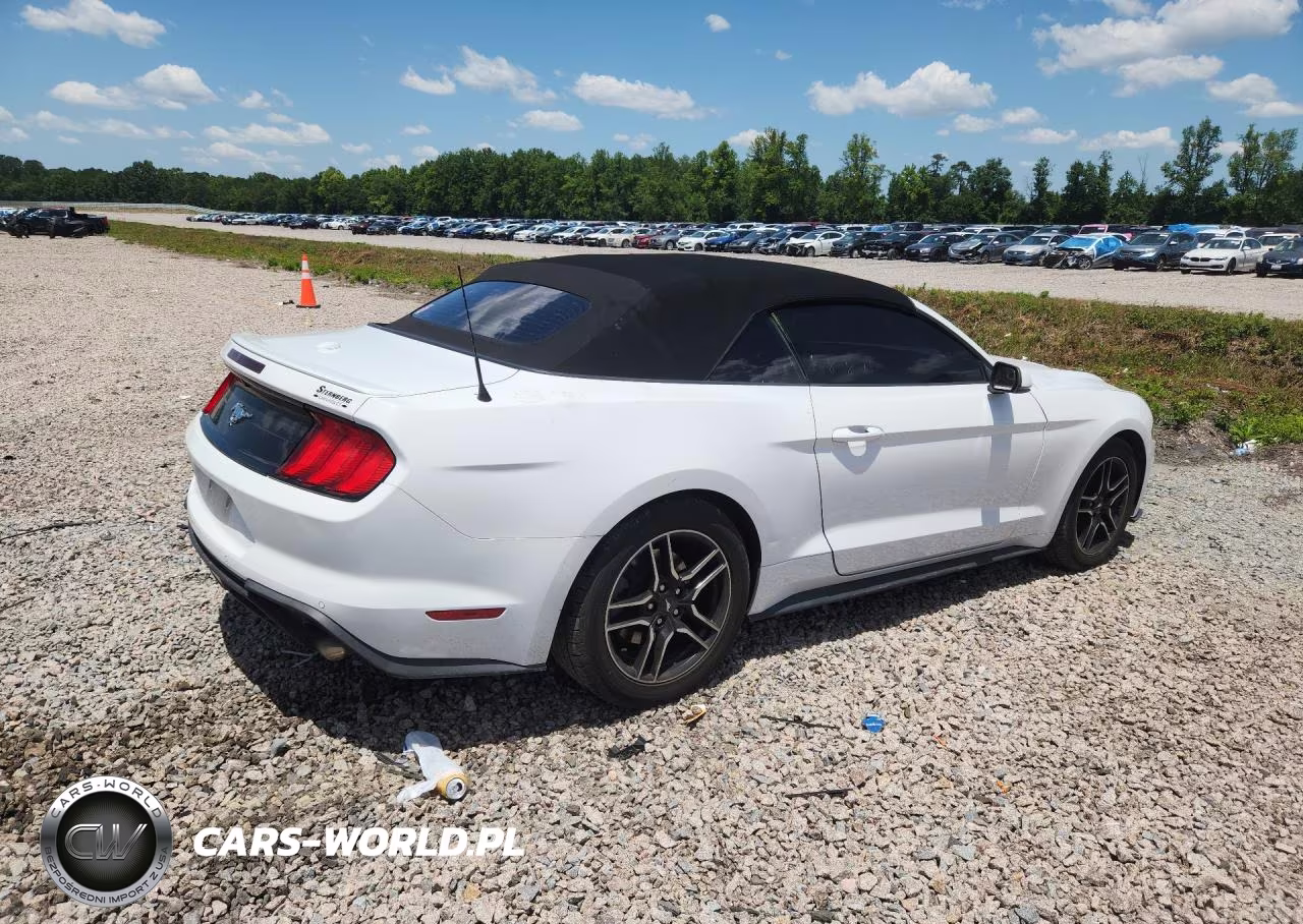 2020 Ford Mustang VIN:1FATP8UH2L5132083 - 3