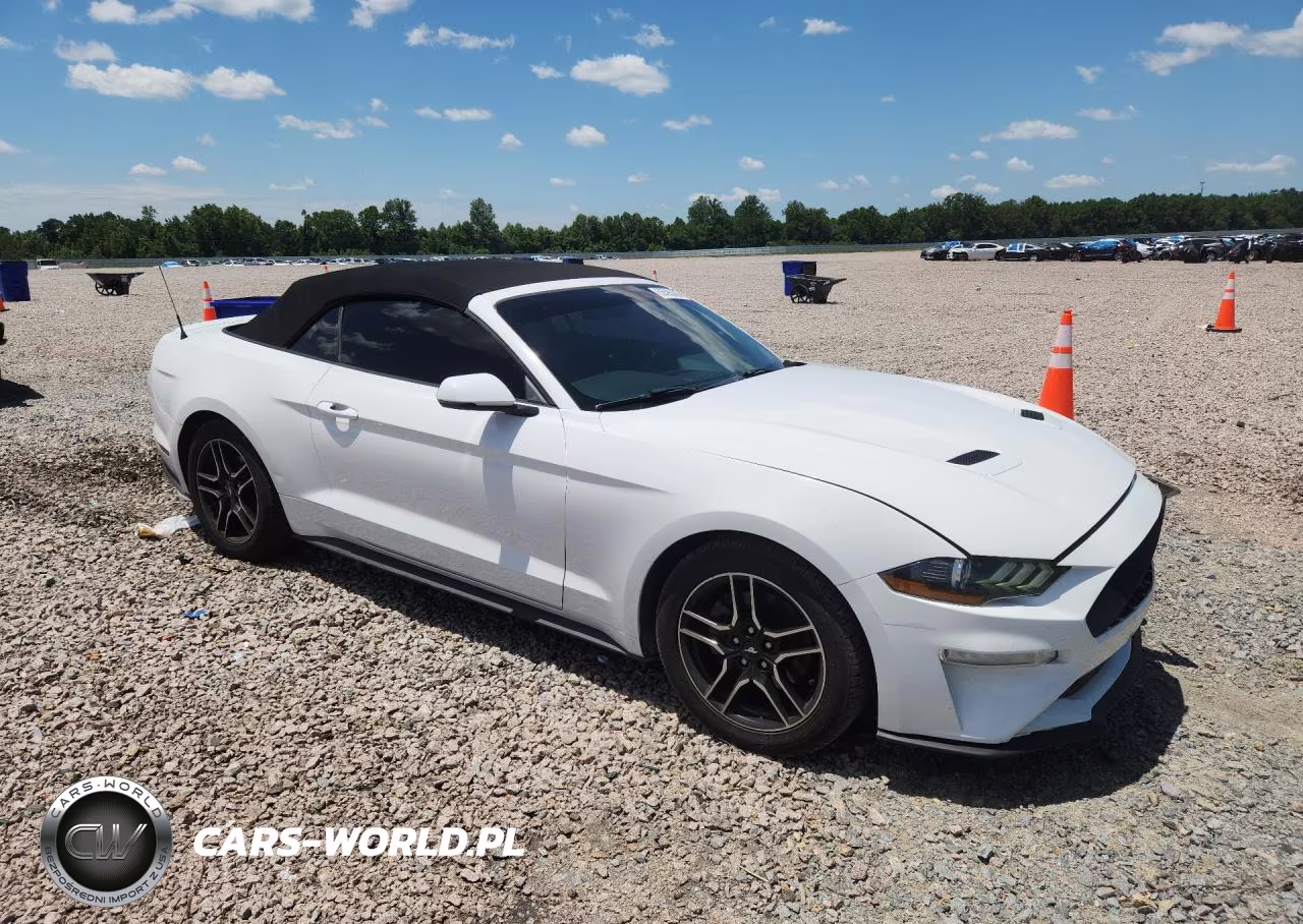 2020 Ford Mustang VIN:1FATP8UH2L5132083 - 4