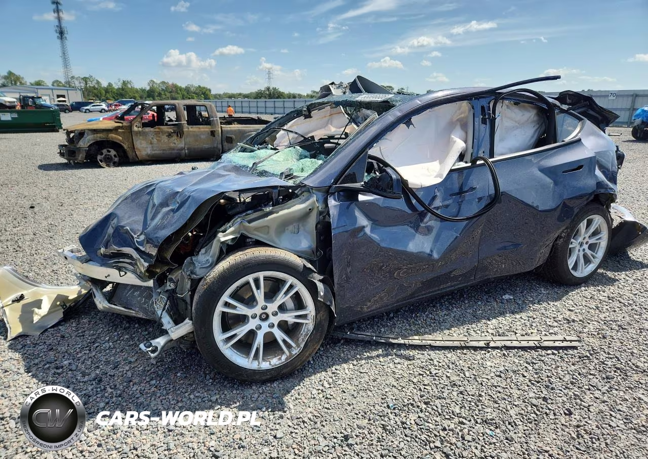 2022 Tesla Model Y VIN:7SAYGDEEXNF378901 - 1