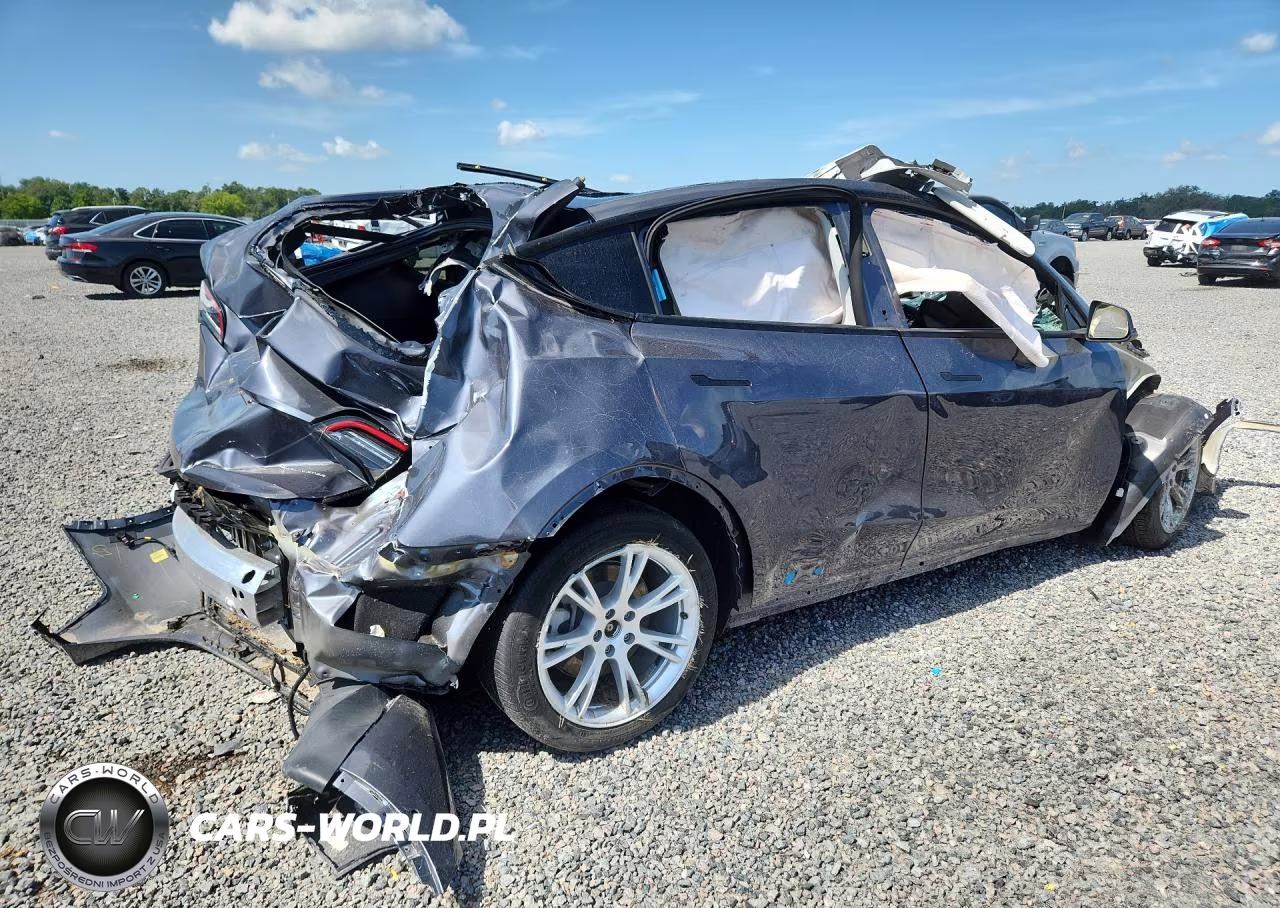 2022 Tesla Model Y VIN:7SAYGDEEXNF378901 - 3