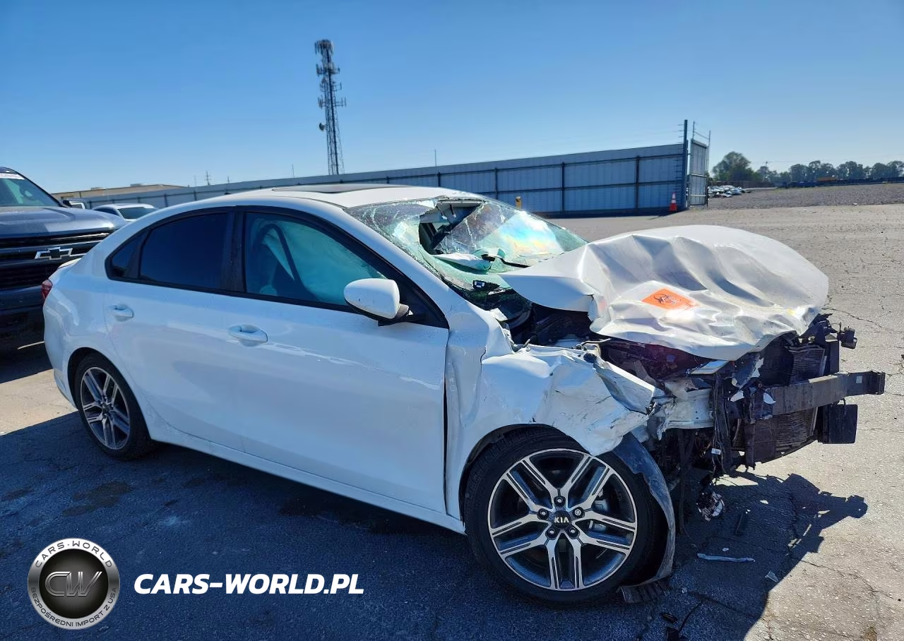 2019 Kia Forte S VIN:3KPF34AD0KE023069 - 4