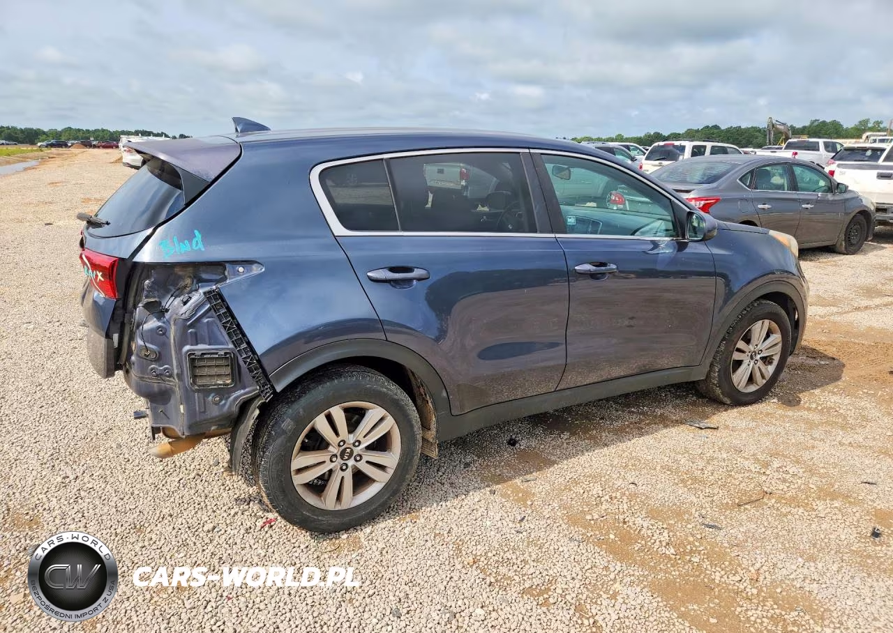 2017 Kia Sportage Lx VIN:KNDPM3AC0H7098124 - 3