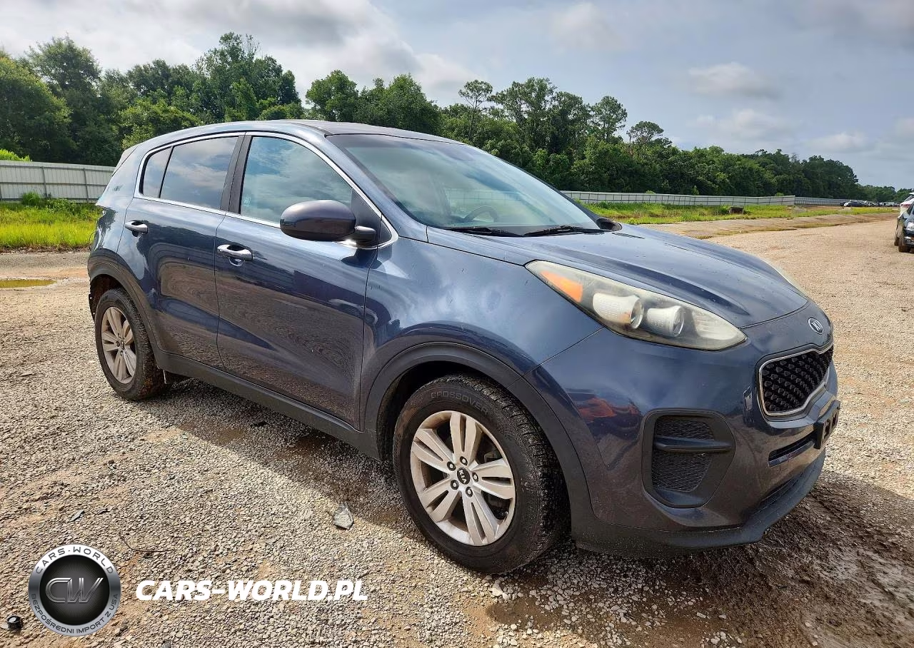 2017 Kia Sportage Lx VIN:KNDPM3AC0H7098124 - 4
