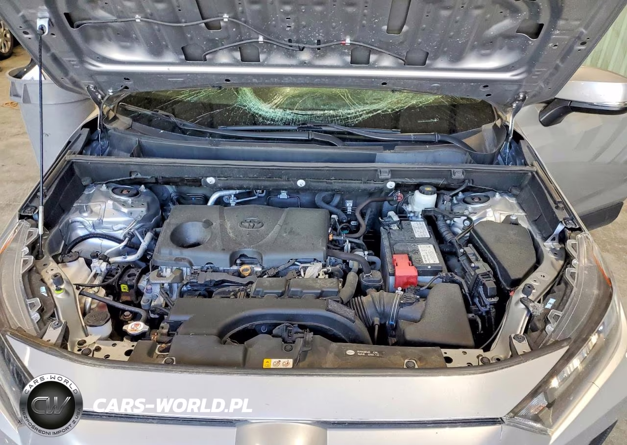 2019 Toyota Rav4 Le VIN:2T3G1RFV5KC052615 - 12