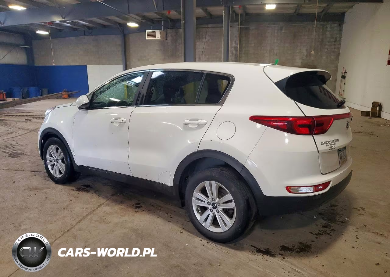 2019 Kia Sportage Lx VIN:KNDPM3AC8K7585644 - 2