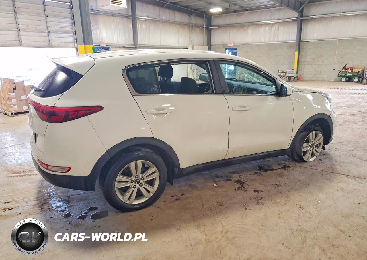 2019 Kia Sportage Lx VIN:KNDPM3AC8K7585644 - 3