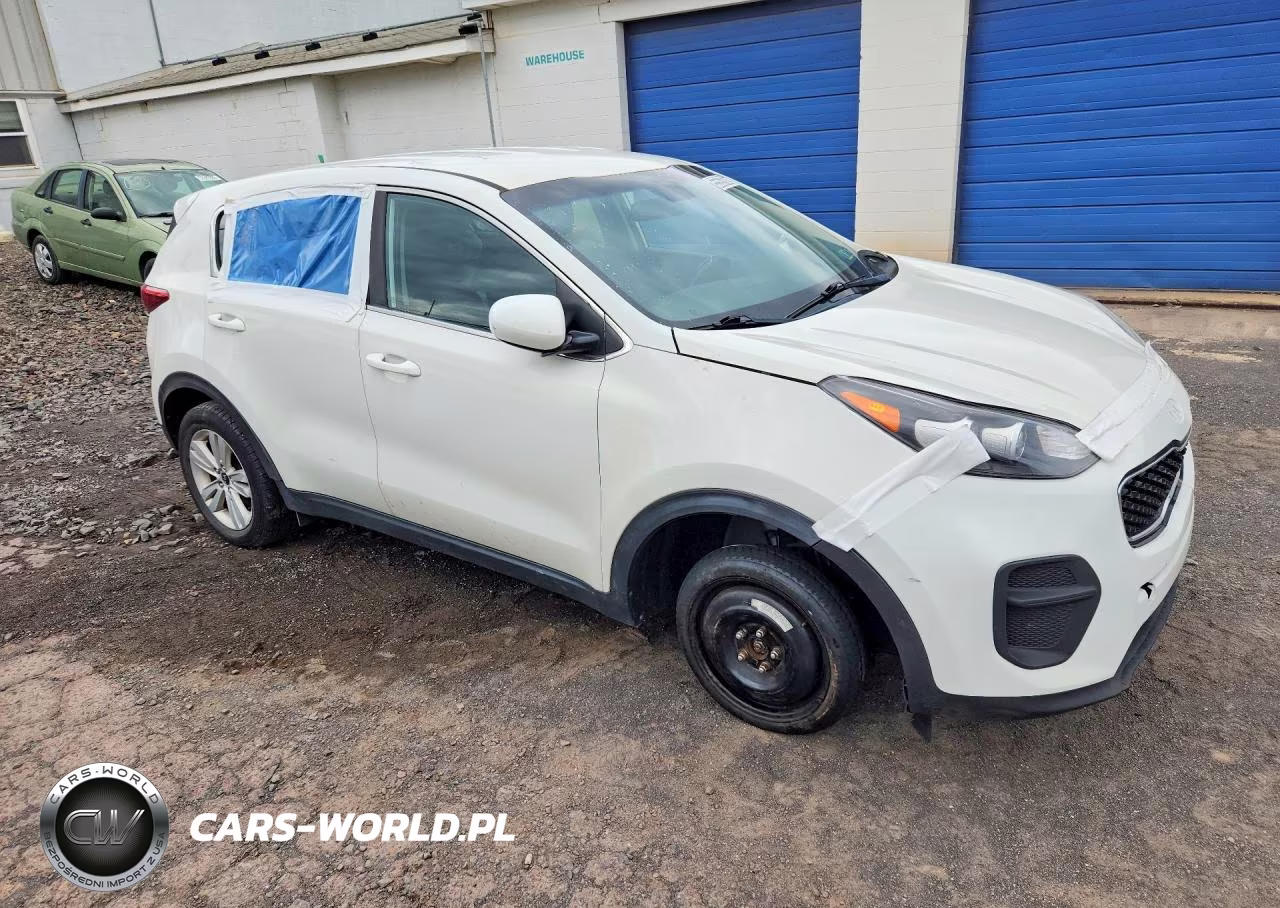 2019 Kia Sportage Lx VIN:KNDPM3AC8K7585644 - 4