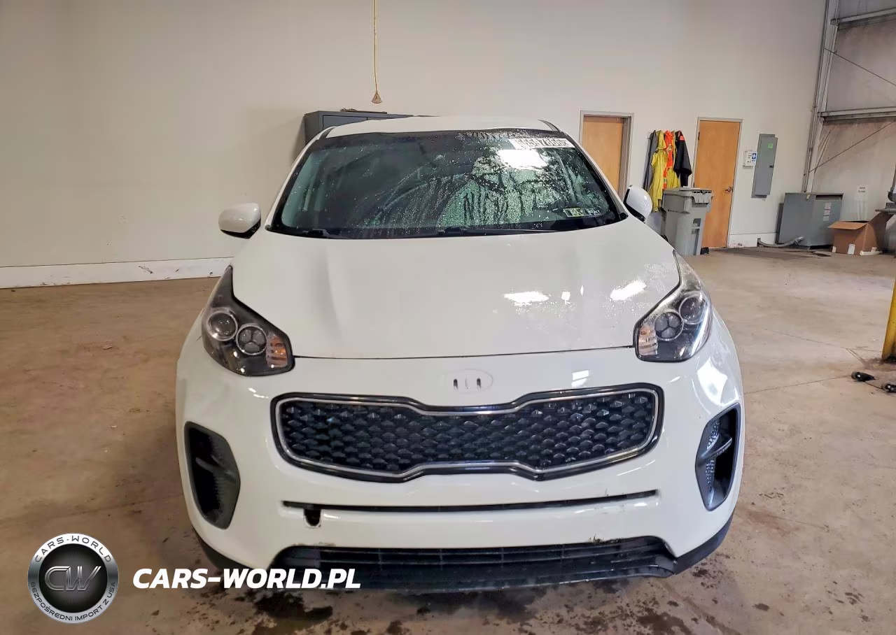 2019 Kia Sportage Lx VIN:KNDPM3AC8K7585644 - 5