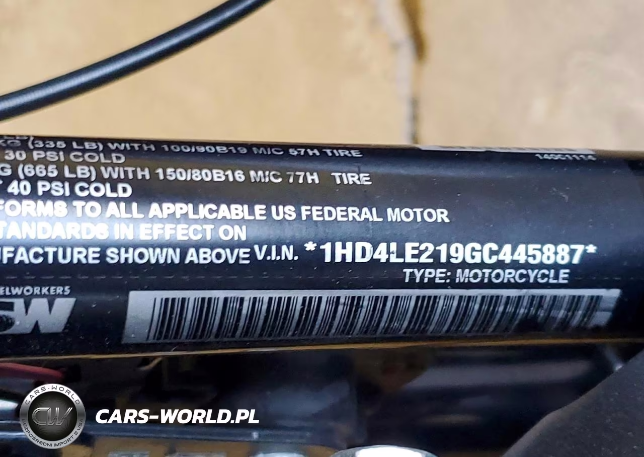 2016 Harley-Davidson Xl883 Iron 883 VIN:1HD4LE219GC445887 - 9