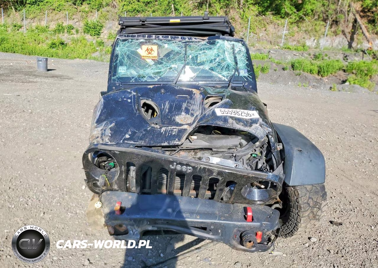 2016 Jeep Wrangler Unlimited Rubicon VIN:1C4BJWFG3GL135978 - 5
