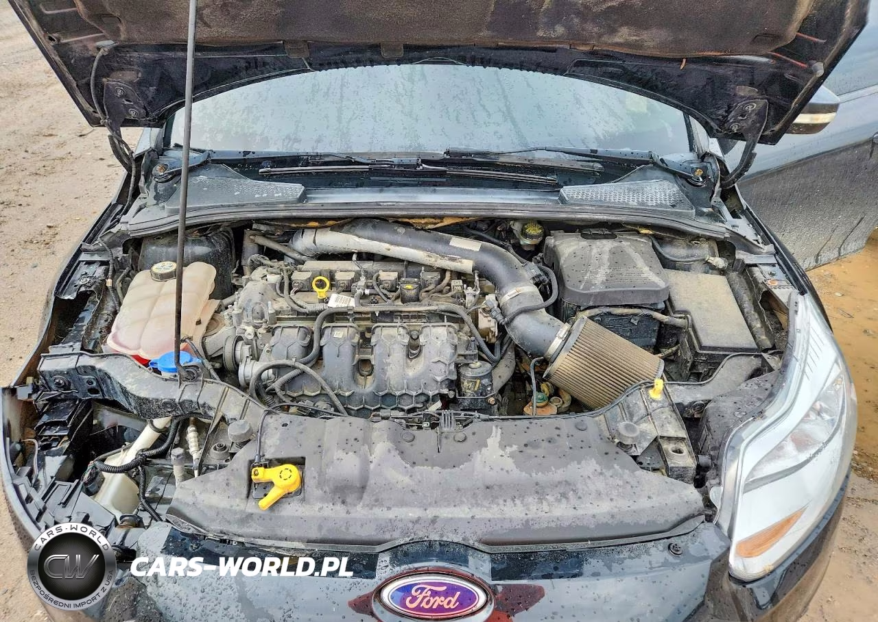 2014 Ford Focus St VIN:1FADP3L98EL412624 - 11