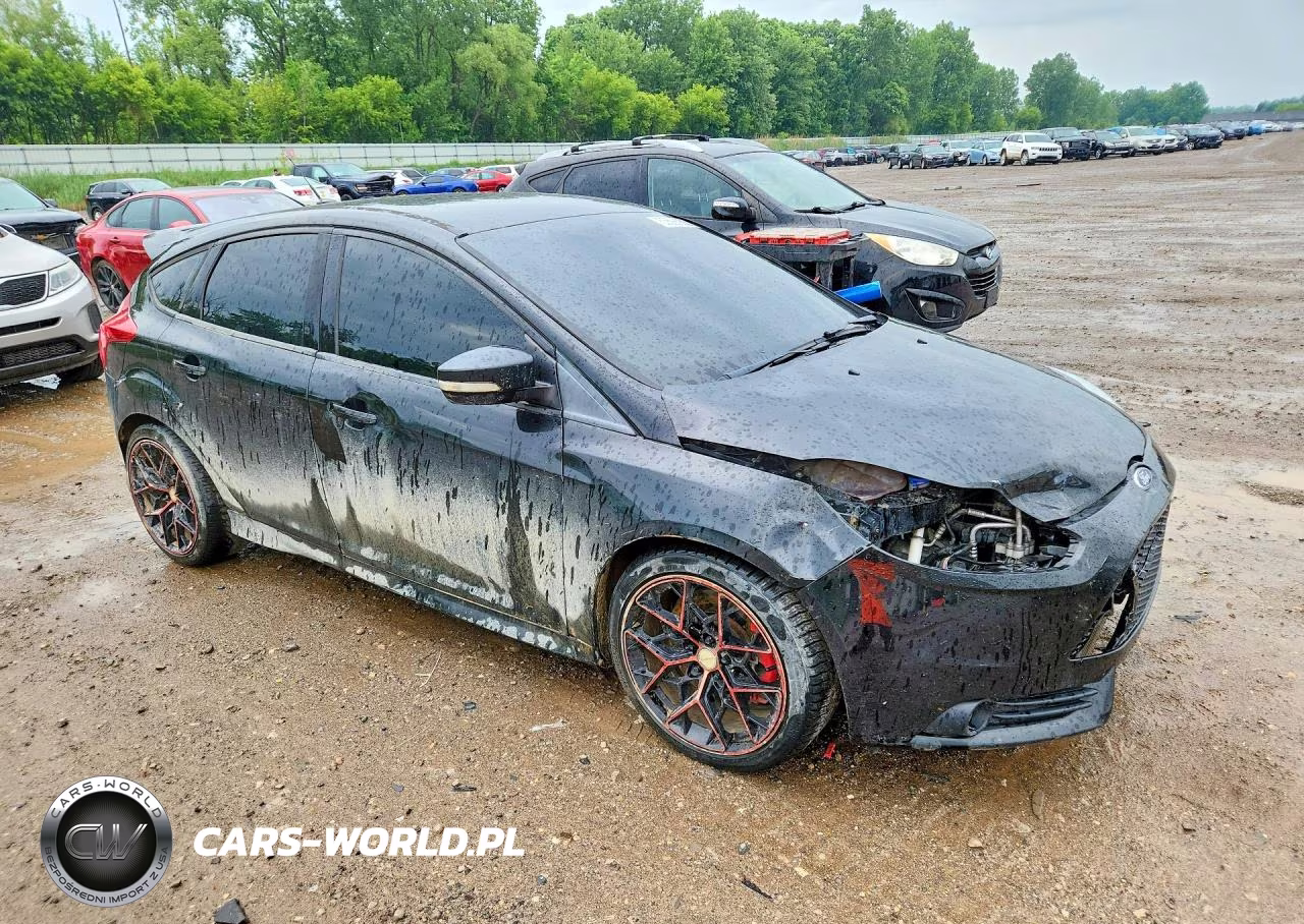 2014 Ford Focus St VIN:1FADP3L98EL412624 - 4