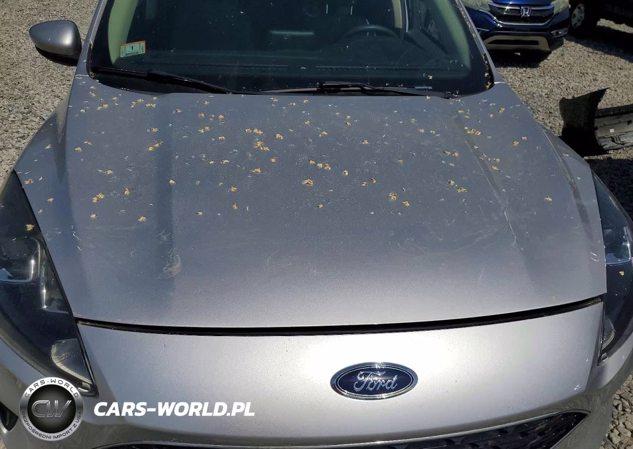 2020 Ford Escape Se VIN:1FMCU9G66LUB53426 - 11