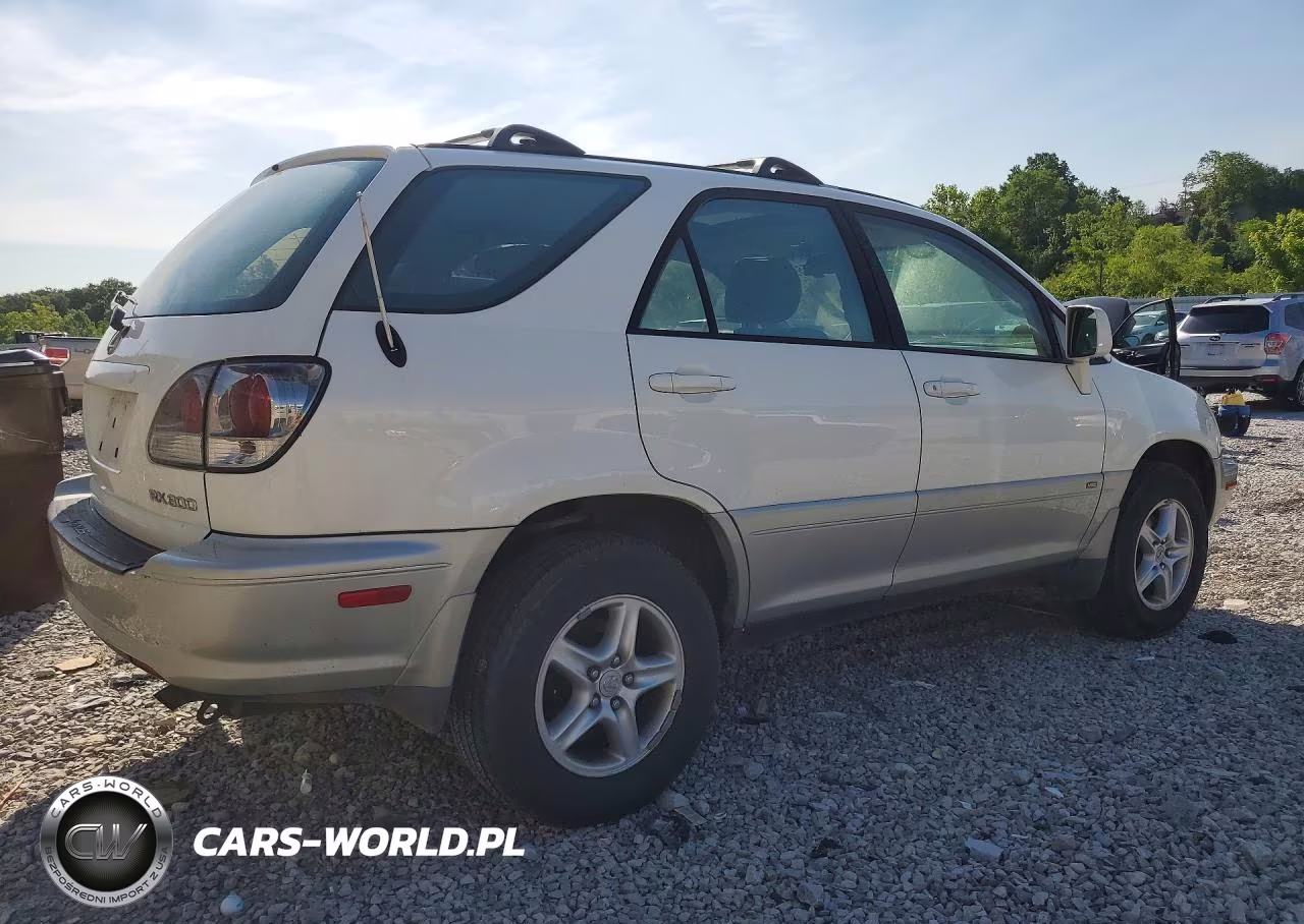 2002 Lexus Rx 300 VIN:JTJHF10U020243138 - 3