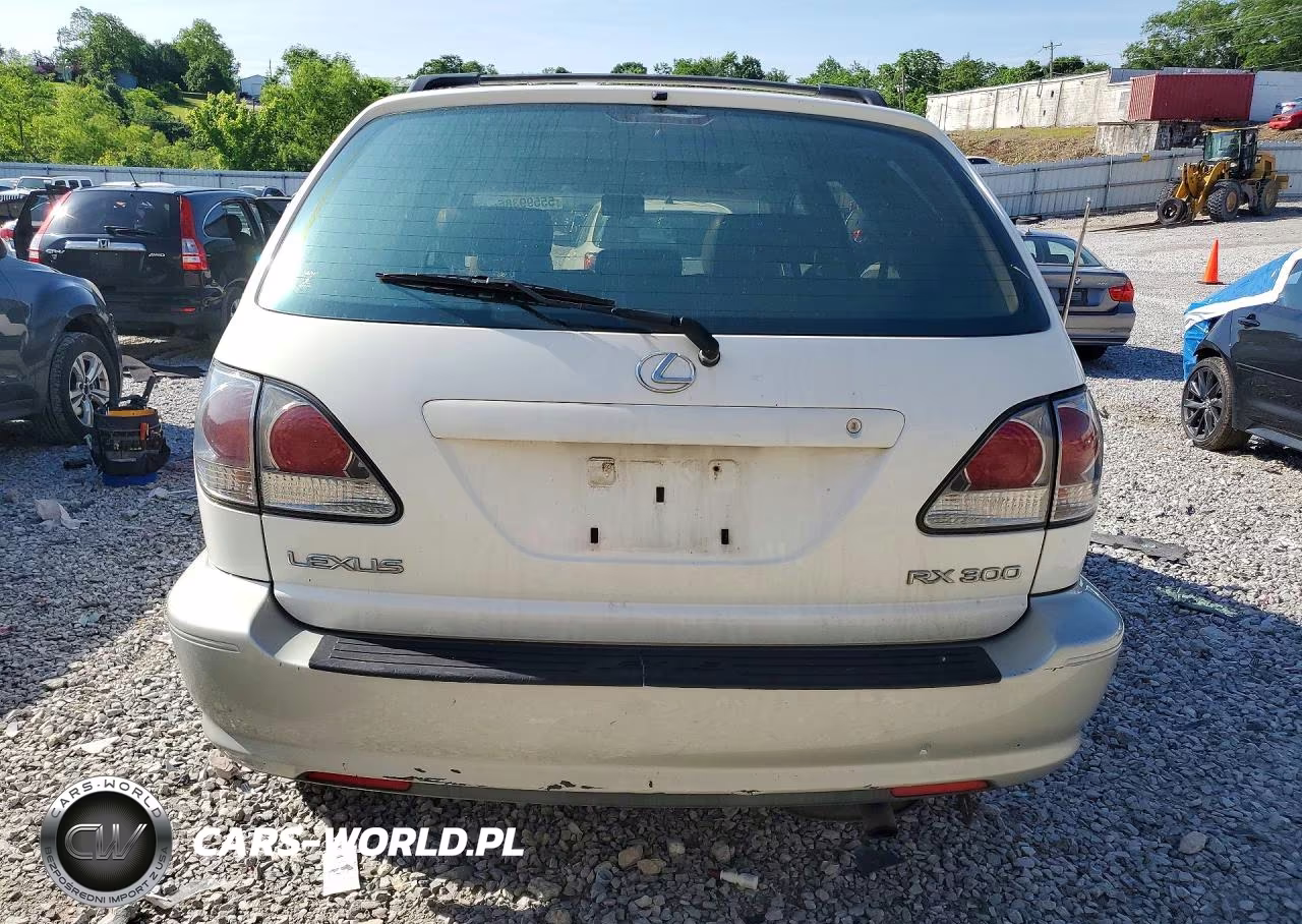 2002 Lexus Rx 300 VIN:JTJHF10U020243138 - 6