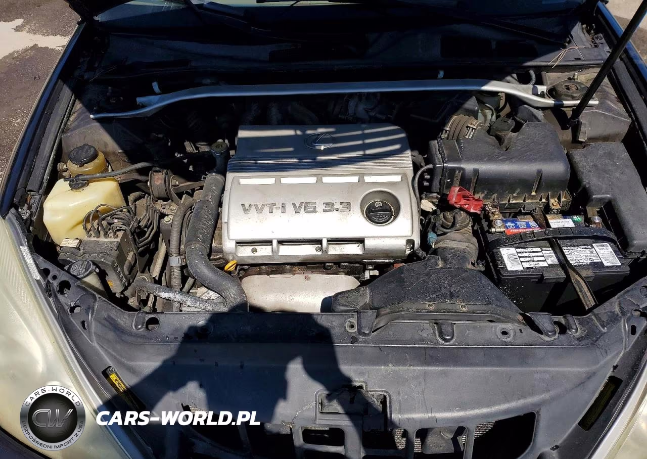 2004 Lexus Es 330 VIN:JTHBA30GX45028075 - 11