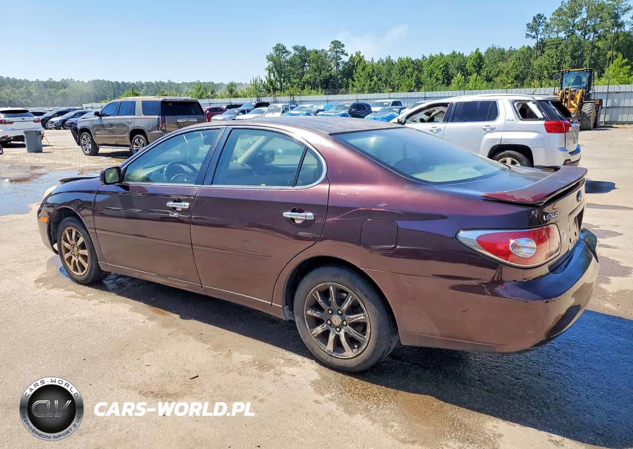 2004 Lexus Es 330 VIN:JTHBA30GX45028075 - 2