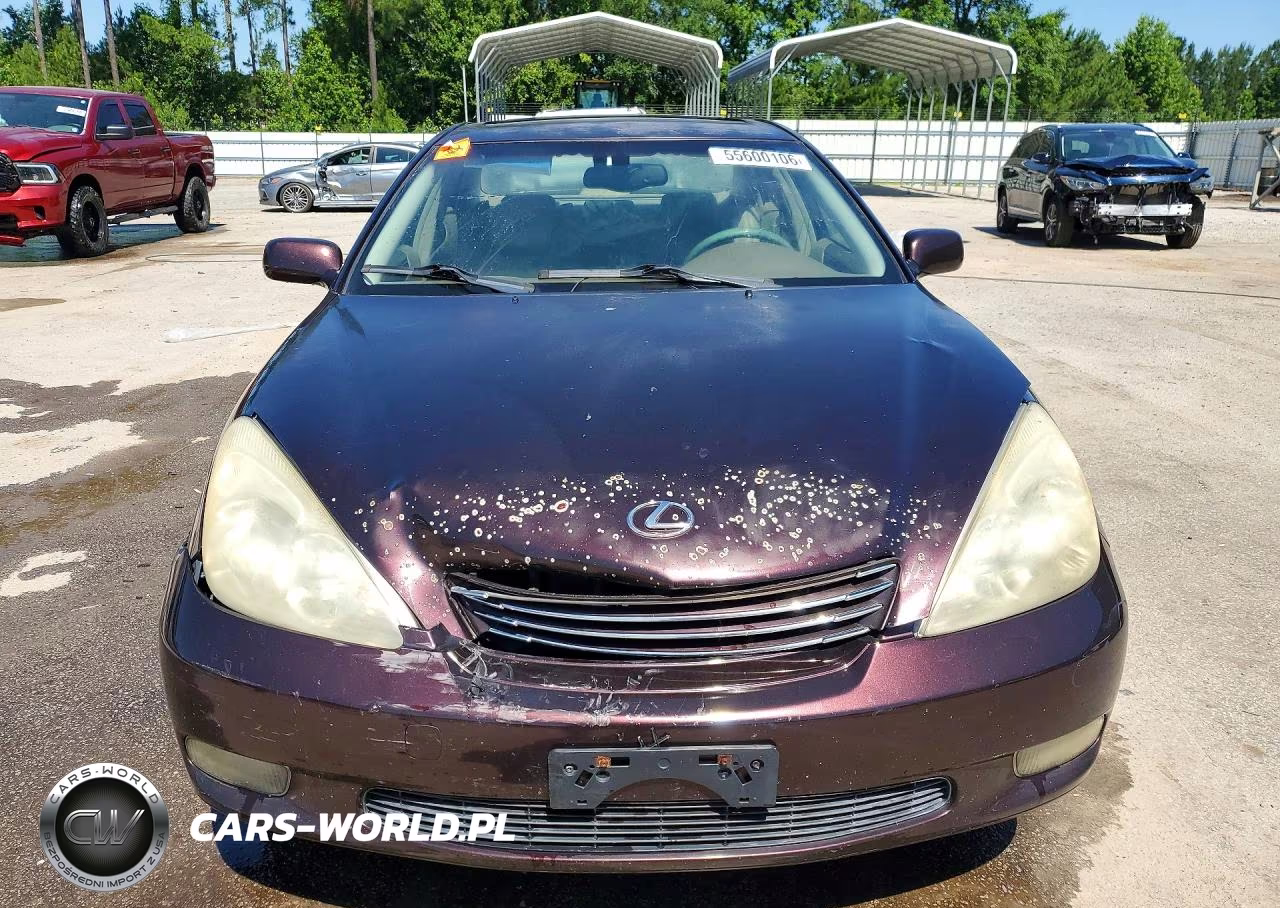 2004 Lexus Es 330 VIN:JTHBA30GX45028075 - 5