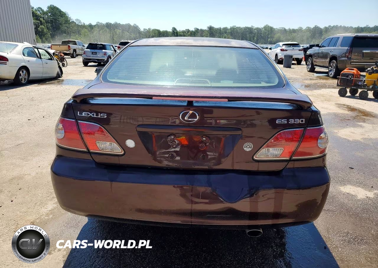 2004 Lexus Es 330 VIN:JTHBA30GX45028075 - 6