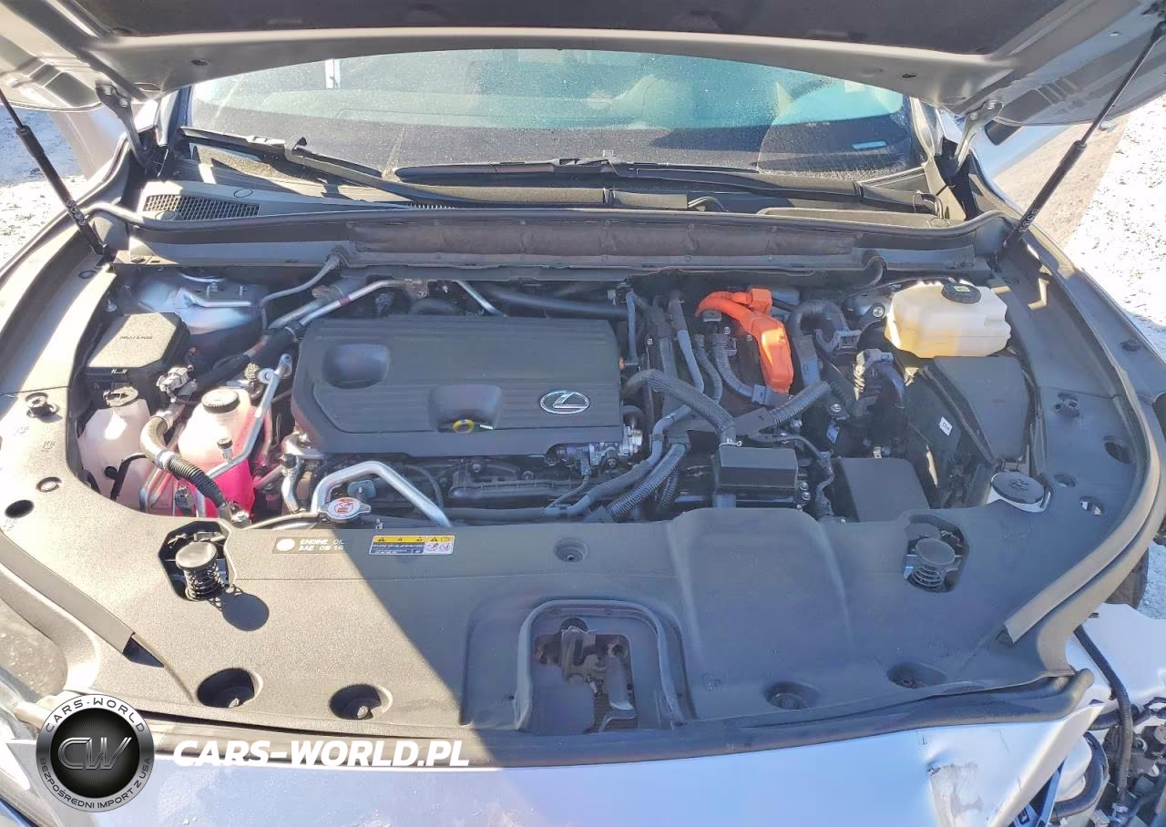 2024 Lexus Rx 450H+ Luxury VIN:JTJCJMGA3R2020371 - 12
