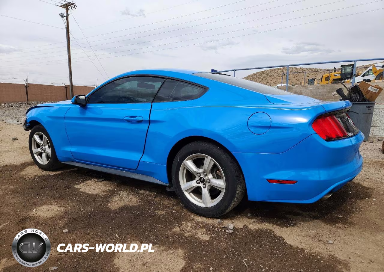2017 Ford Mustang VIN:1FA6P8AM9H5330505 - 2