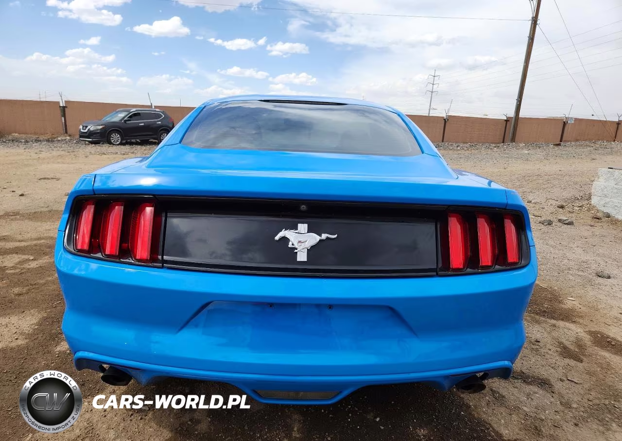 2017 Ford Mustang VIN:1FA6P8AM9H5330505 - 6