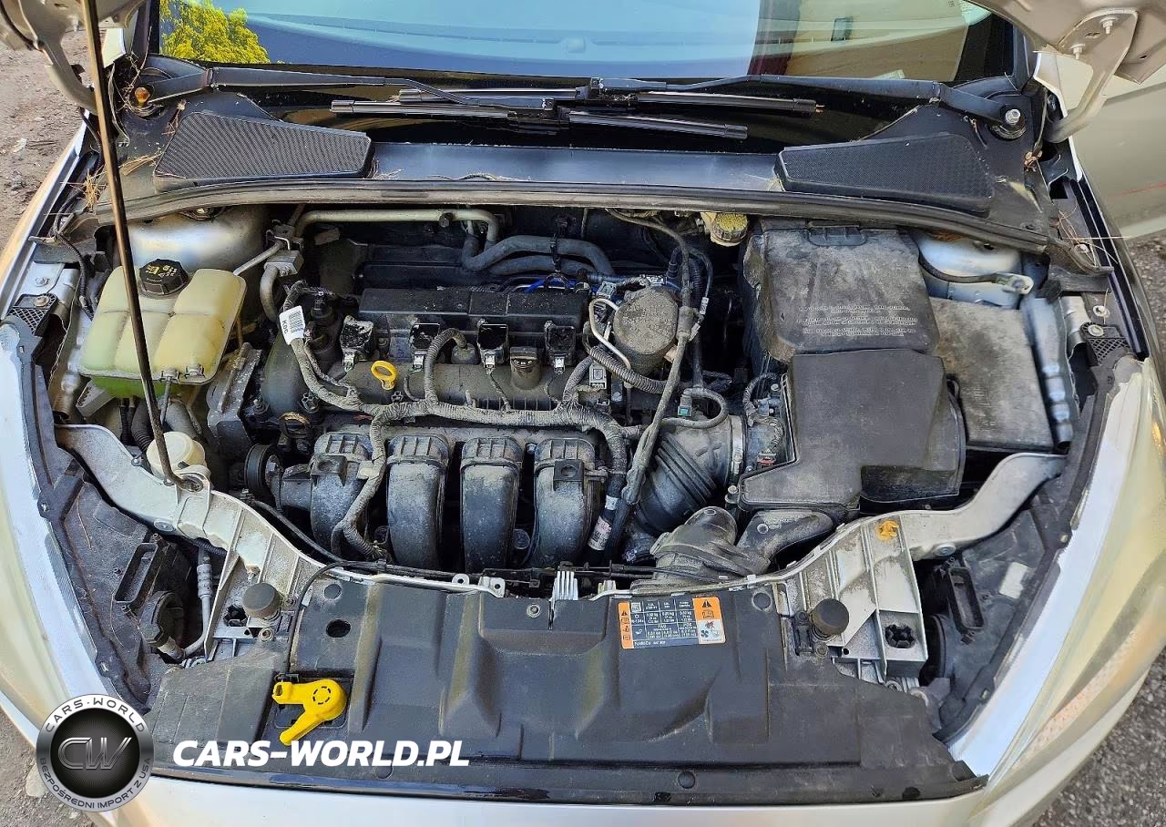 2016 Ford Focus Se VIN:1FADP3K26GL263637 - 11