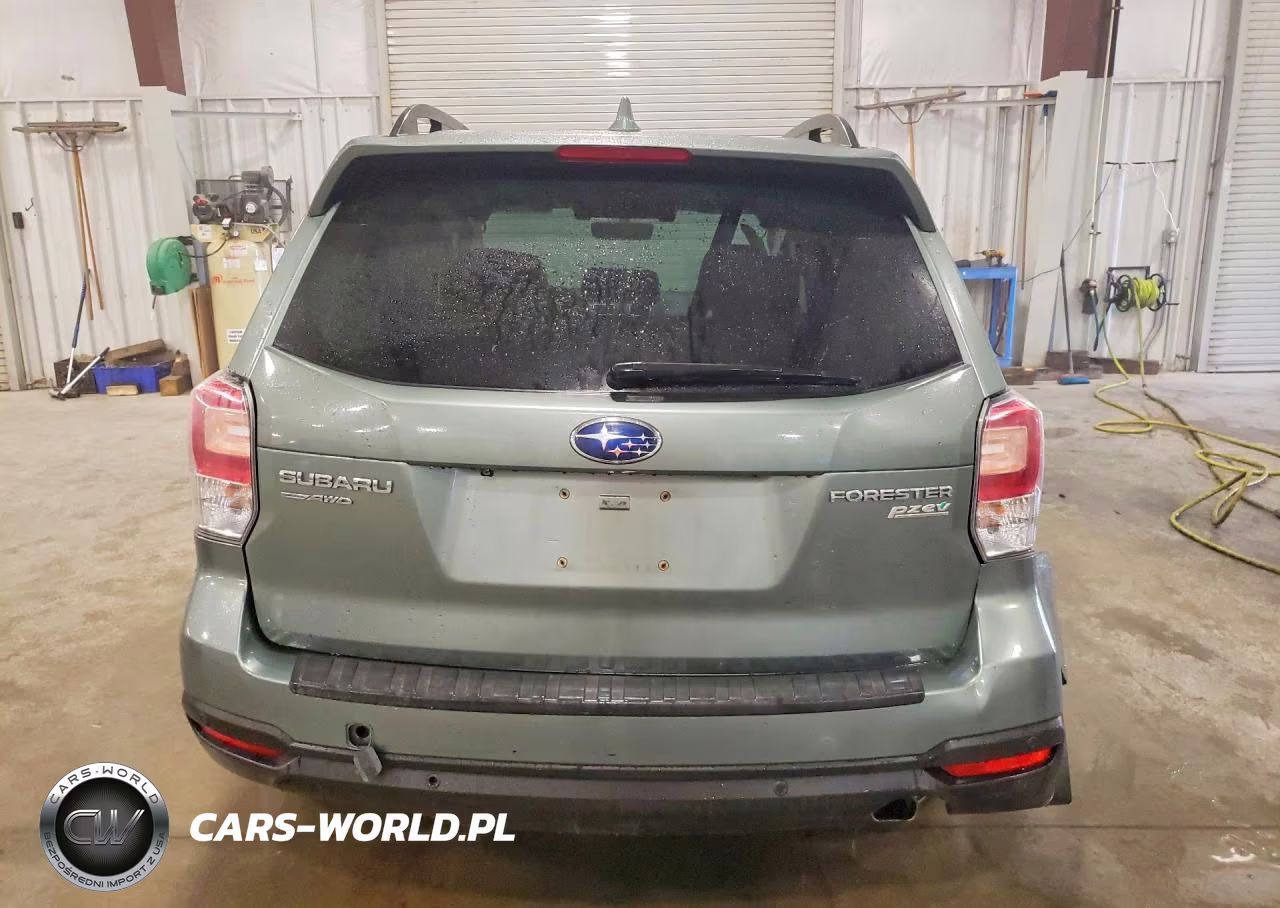 2017 Subaru Forester 2.5I Touring VIN:JF2SJAWC2HH456514 - 6