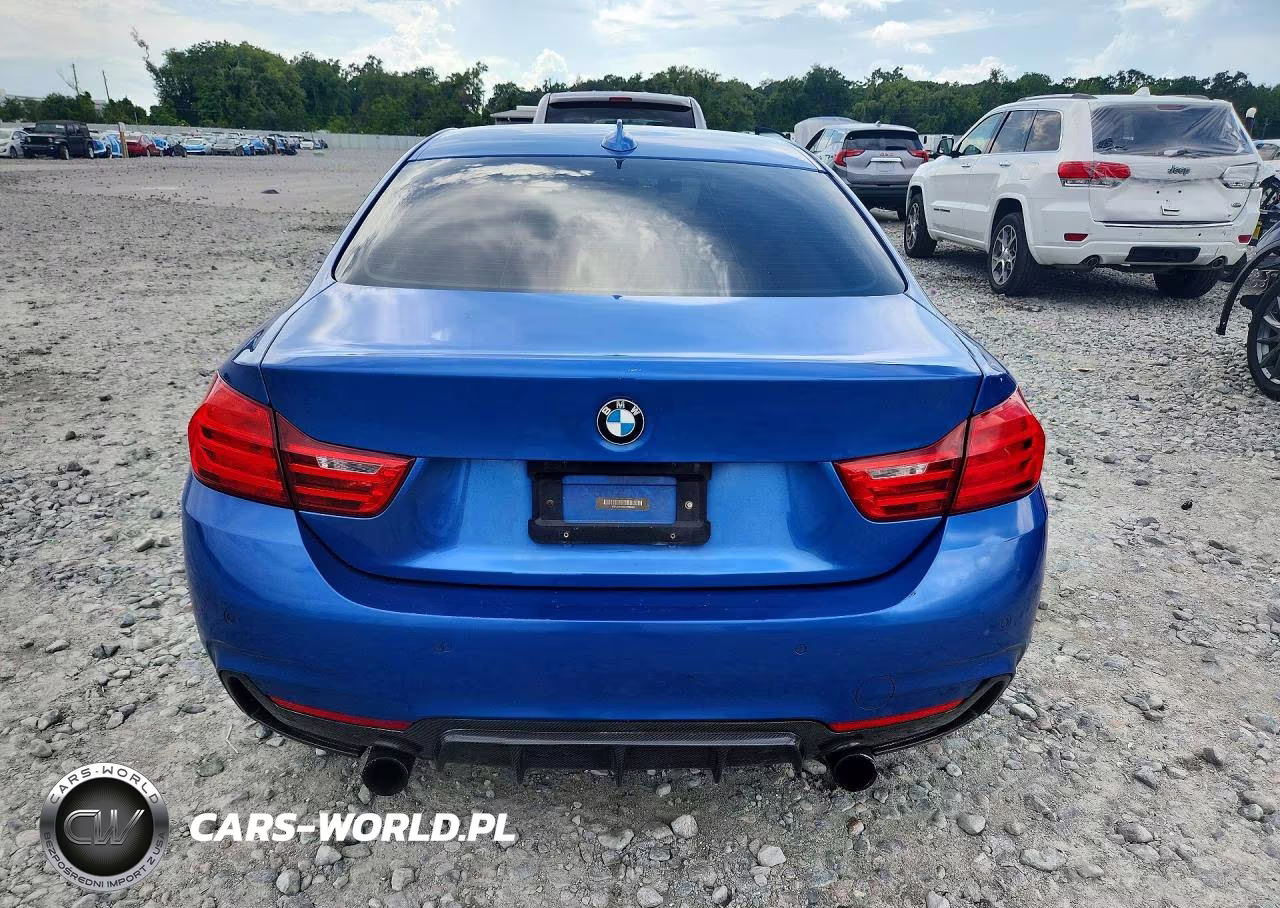2014 BMW 428 Xi VIN:WBA3N9C59EF720683 - 6