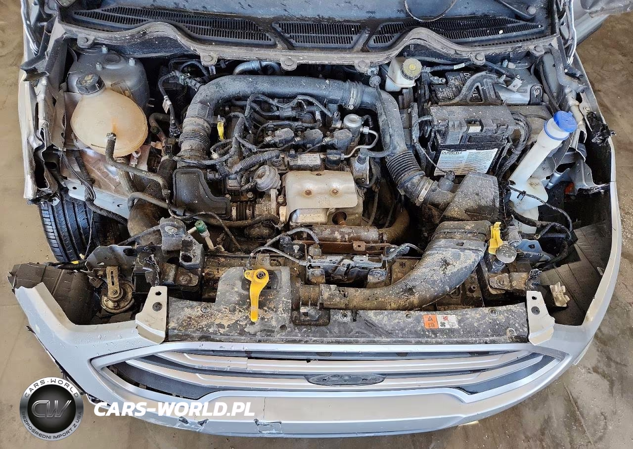 2020 Ford Ecosport Se VIN:MAJ3S2GEXLC390716 - 11