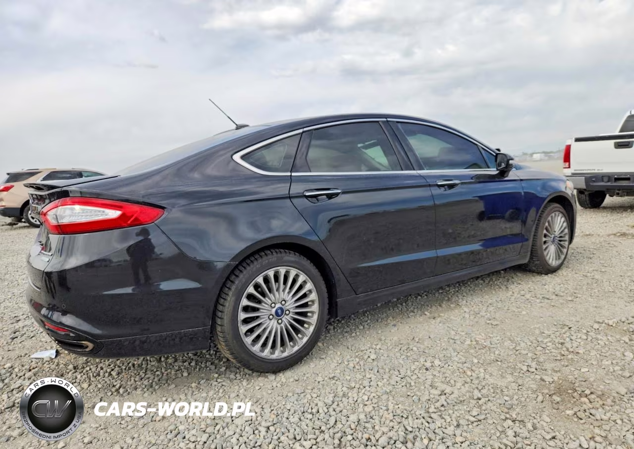 2014 Ford Fusion Titanium VIN:3FA6P0K95ER299841 - 3
