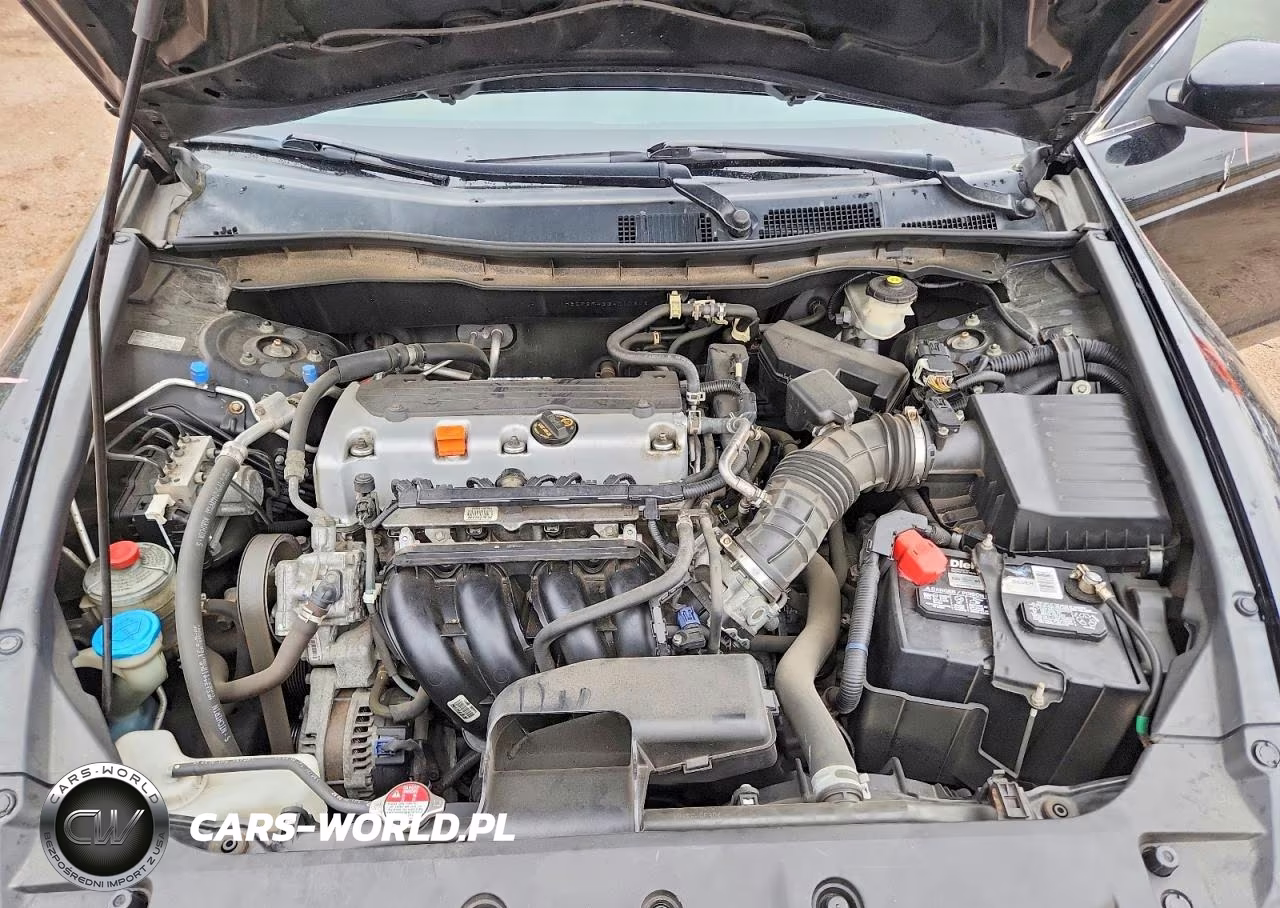 2011 Honda Accord Lxp VIN:1HGCP2F43BA010342 - 11