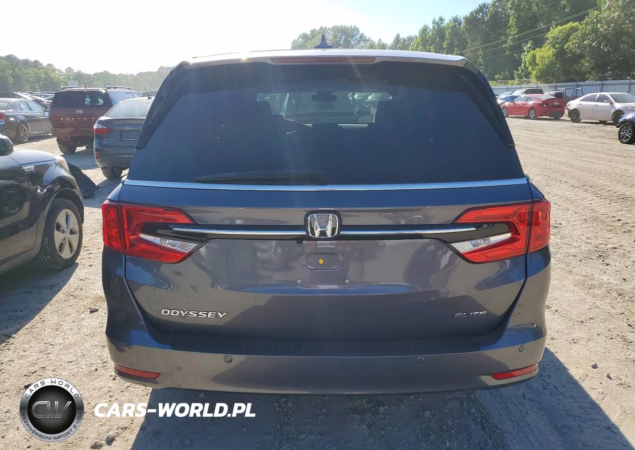 2024 Honda Odyssey Elite VIN:5FNRL6H94RB056333 - 6