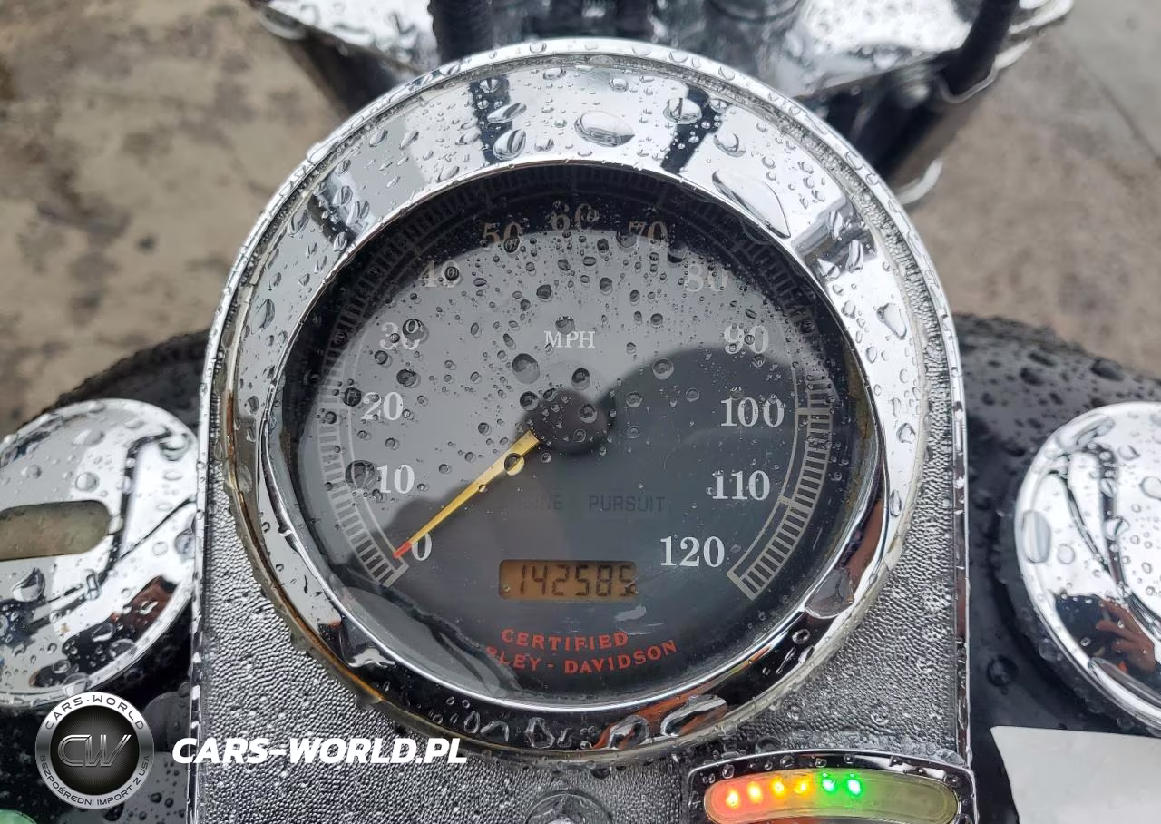 2000 Harley-Davidson Fxdwg VIN:1HD1GEV18YY329636 - 7